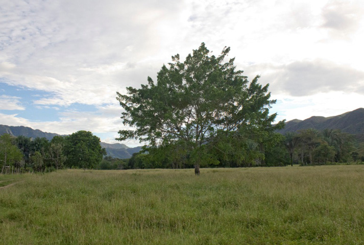 Zona de camping - 3